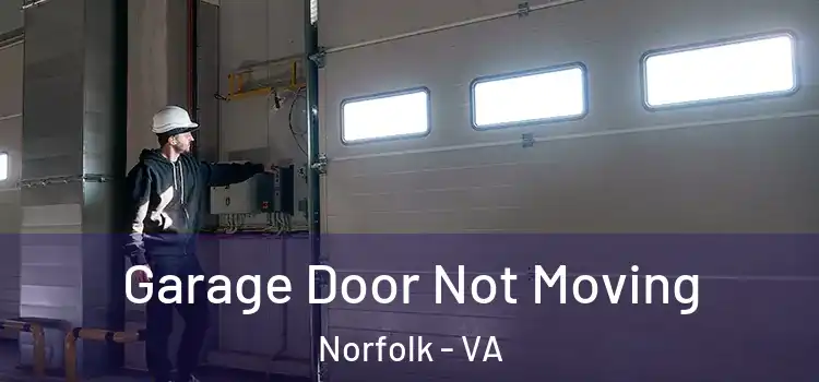  Garage Door Not Moving Norfolk - VA