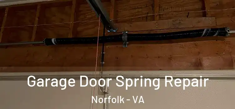  Garage Door Spring Repair Norfolk - VA