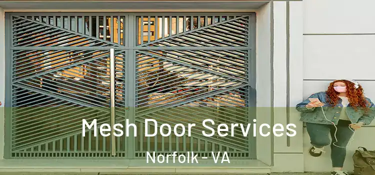 Mesh Door Services Norfolk - VA